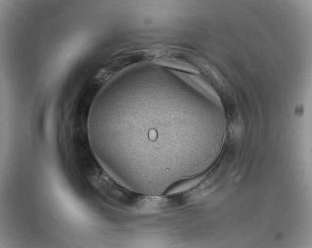 X0000097660429200803142136