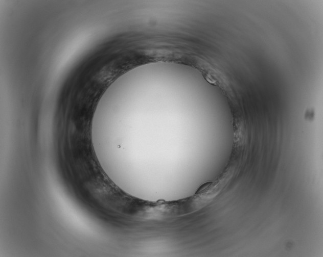 X0000097660430200803142136