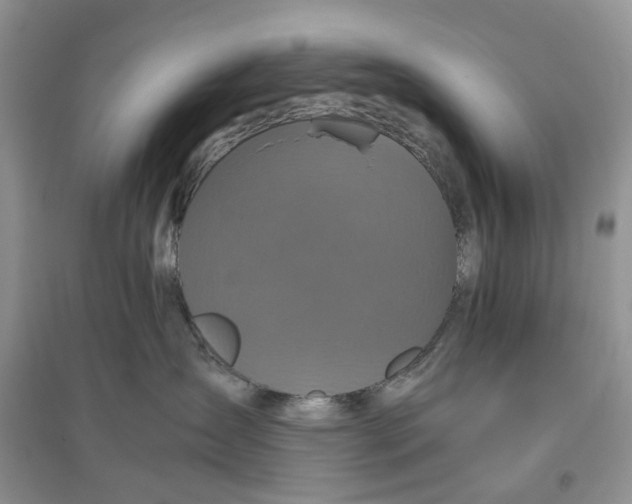 X0000097660431200803142136