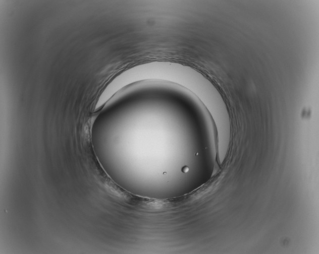 X0000097660432200803142136