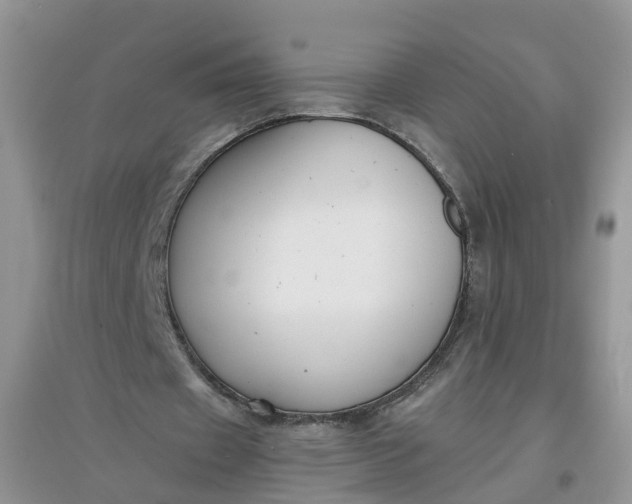 X0000097660433200803142135