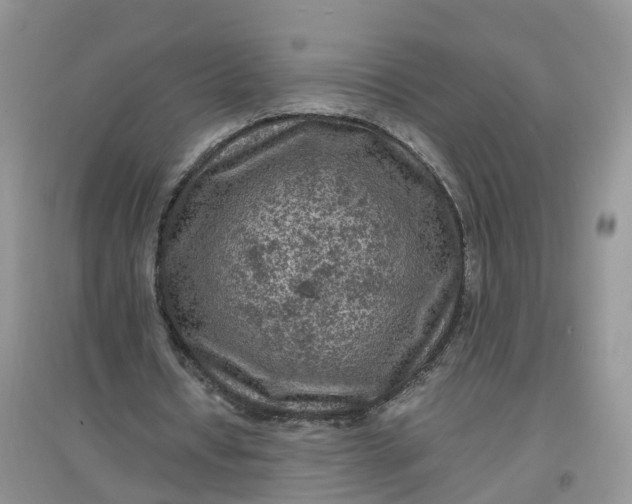 X0000097660434200803142135