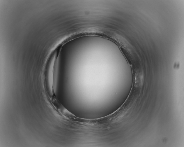 X0000097660436200803142135