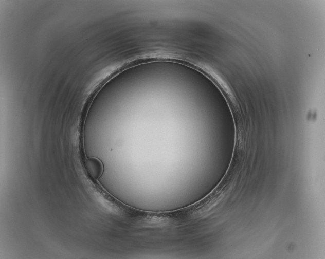 X0000097660437200803142135