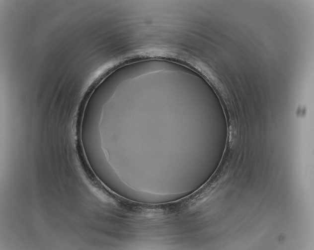 X0000097660438200803142135