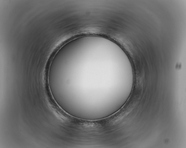 X0000097660439200803142135