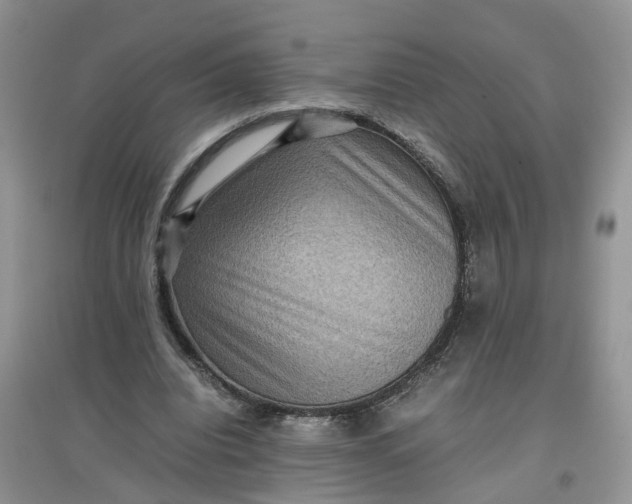 X0000097660440200803142135
