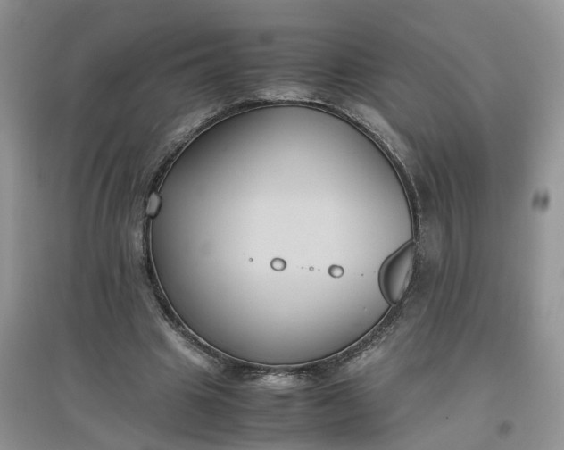 X0000097660441200803142135