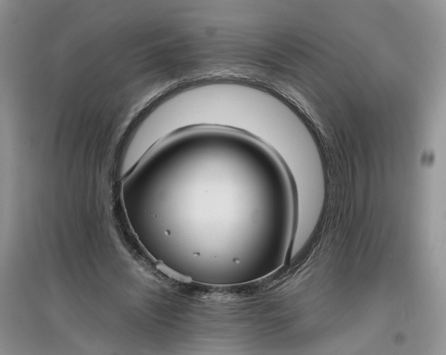 X0000097660444200803142135