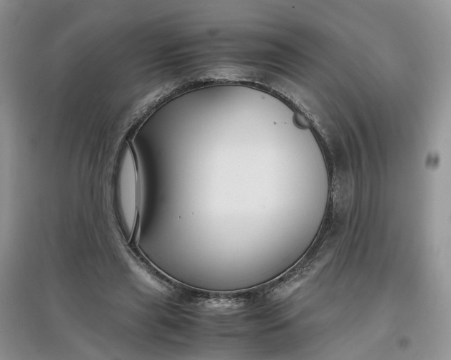 X0000097660445200803142135