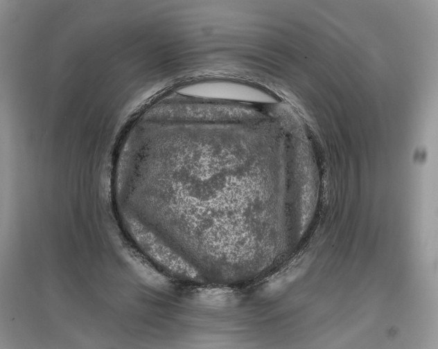 X0000097660446200803142135