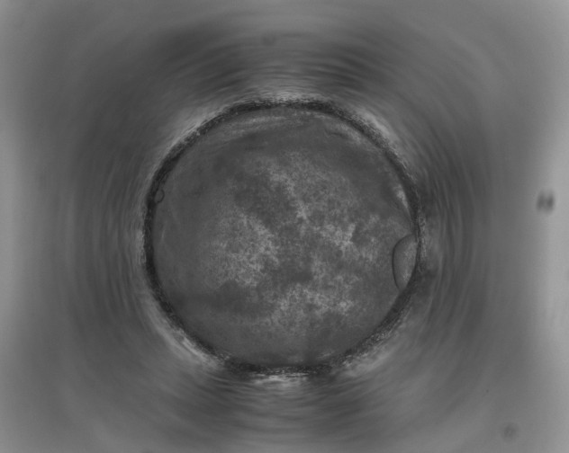 X0000097660447200803142135