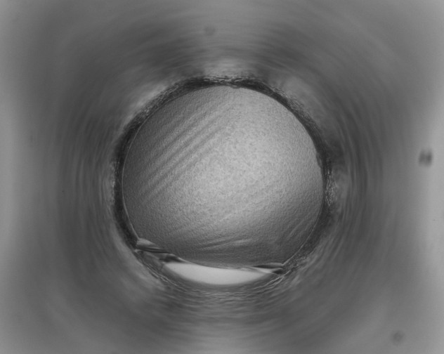X0000097660448200803142135