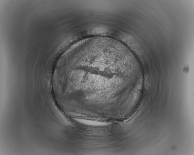 X0000097660449200803142135