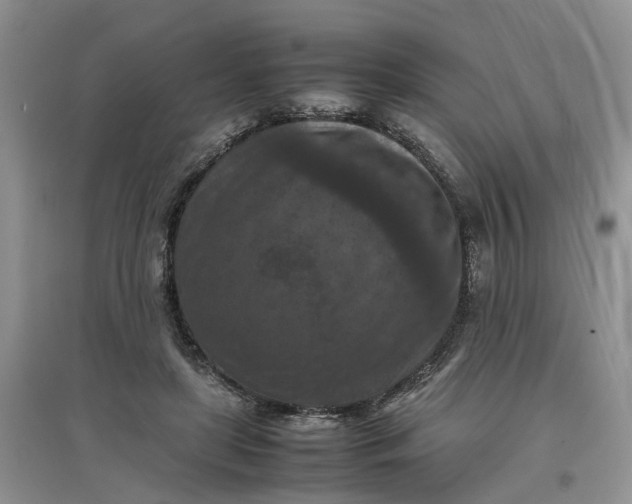 X0000097660451200803142136