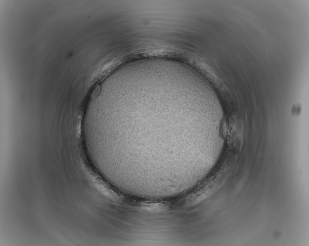 X0000097660454200803142136