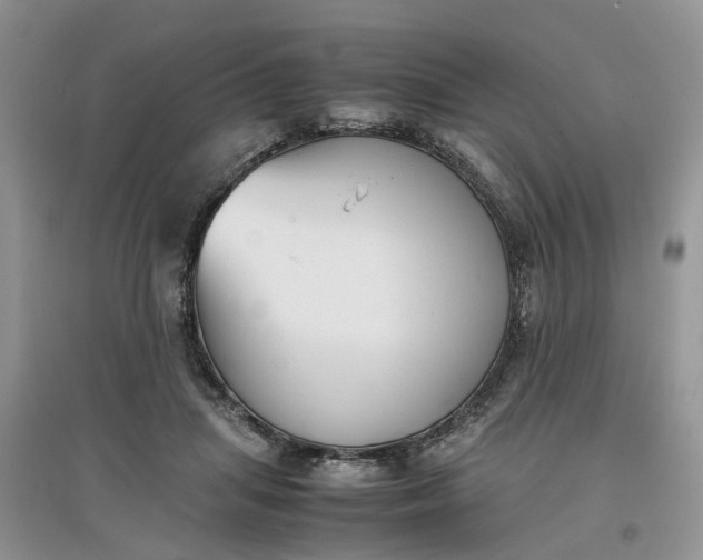 X0000097660455200803142136