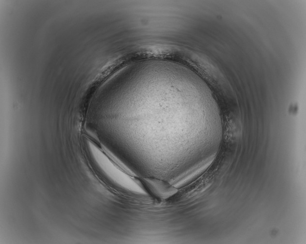 X0000097660456200803142136
