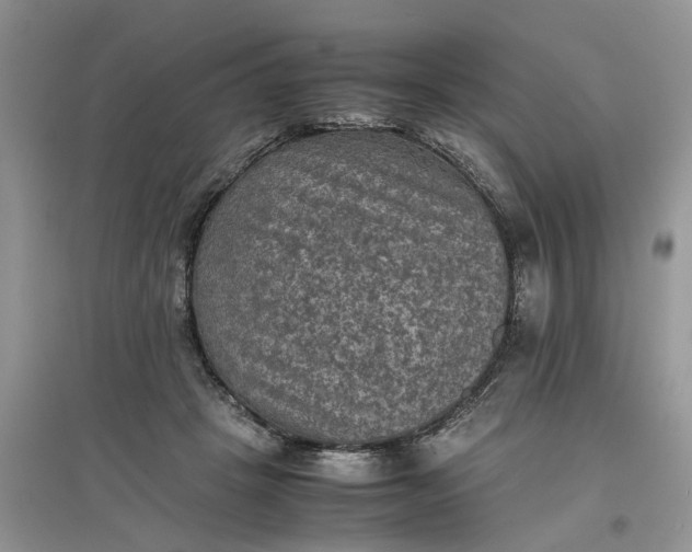 X0000097660457200803142136