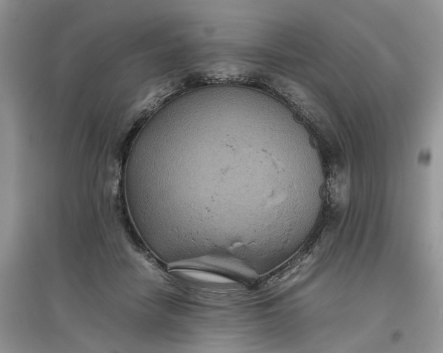 X0000097660458200803142136