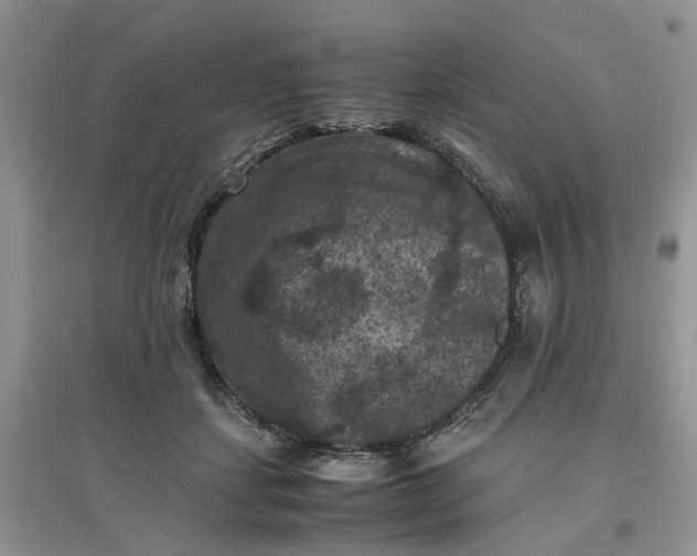 X0000097660459200803142136