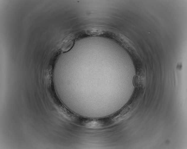 X0000097660460200803142136