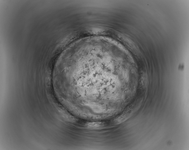 X0000097660461200803142136