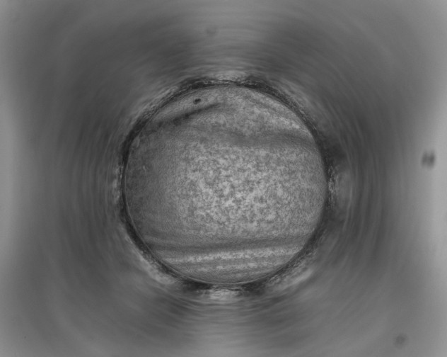 X0000097660462200803142136