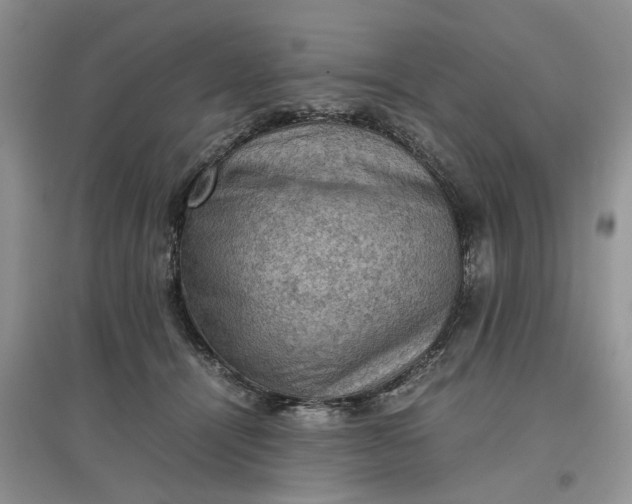 X0000097660464200803142136