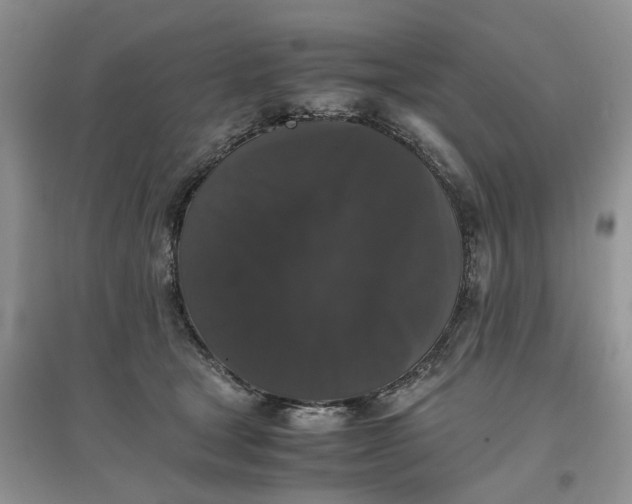 X0000097660465200803142136