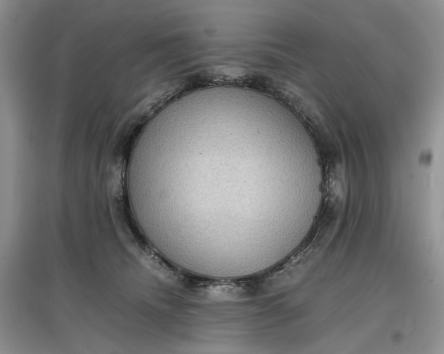 X0000097660468200803142136