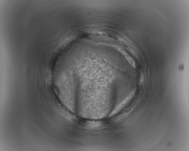 X0000097660469200803142136