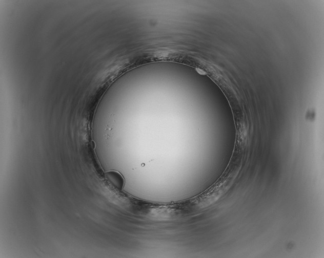 X0000097660470200803142136