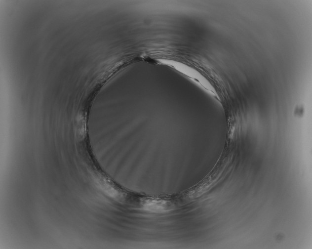 X0000097660471200803142136