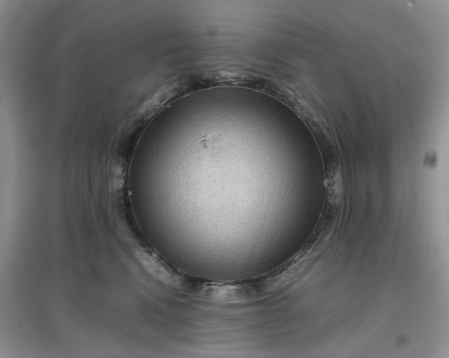 X0000097660472200803142136