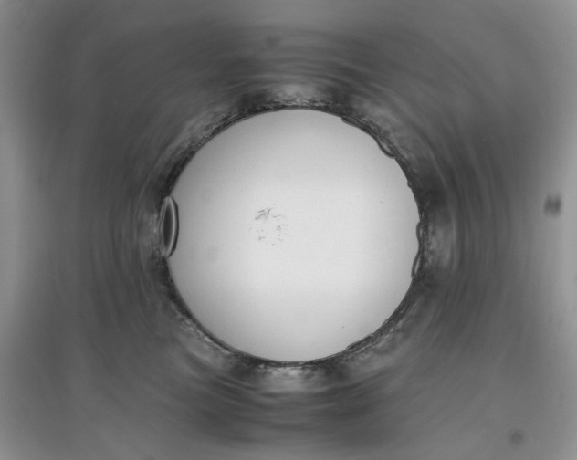 X0000097660473200803142136