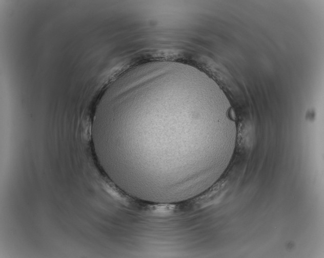 X0000097660474200803142136