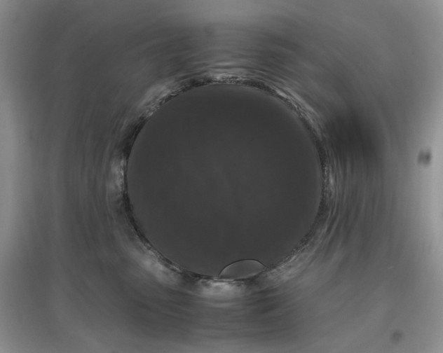 X0000097660475200803142136