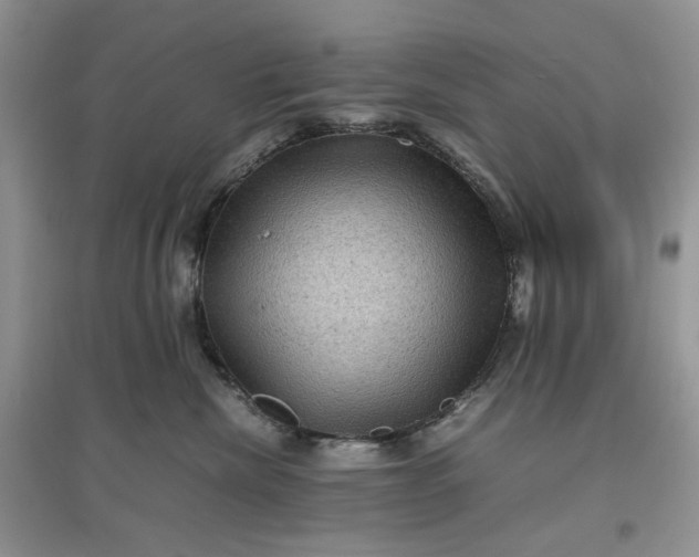 X0000097660476200803142136