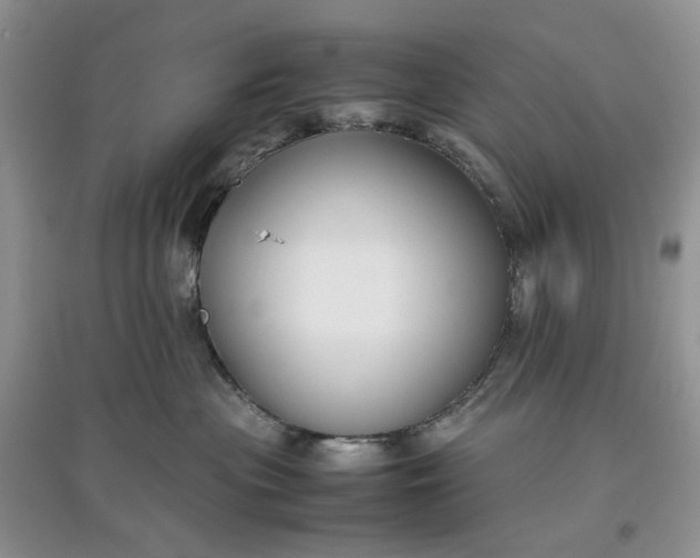 X0000097660477200803142136