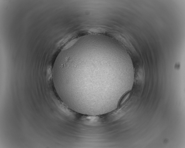 X0000097660478200803142136