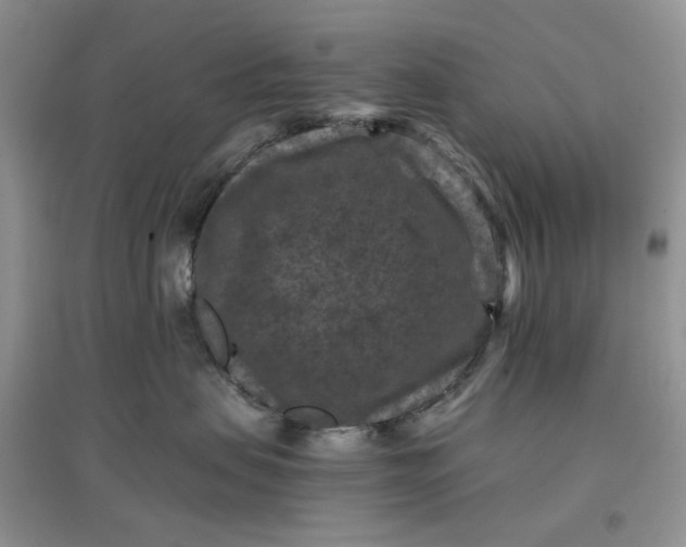 X0000097660479200803142136