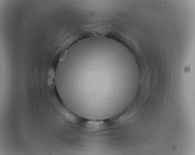 X0000097660480200803142136