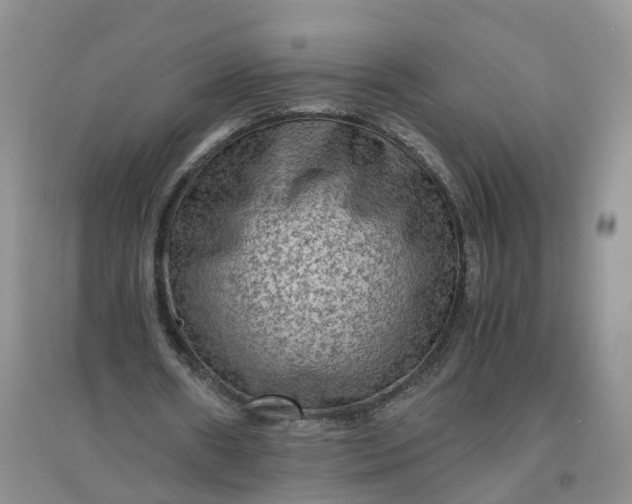 X0000097660482200803142135