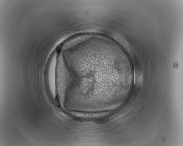 X0000097660483200803142135