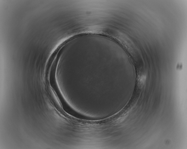 X0000097660484200803142135