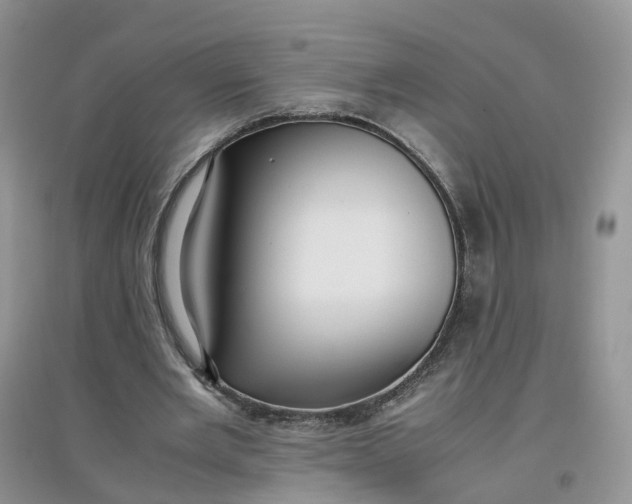 X0000097660485200803142135