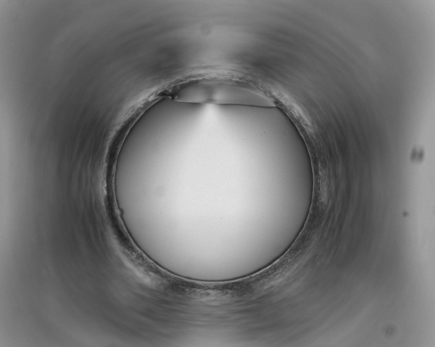 X0000097660486200803142135