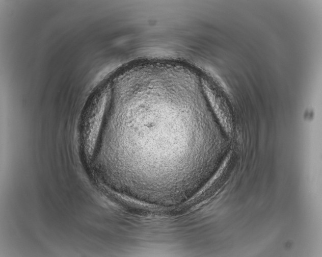 X0000097660487200803142135