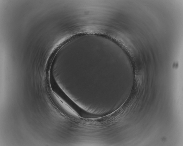 X0000097660488200803142135